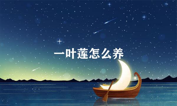 一叶莲怎么养