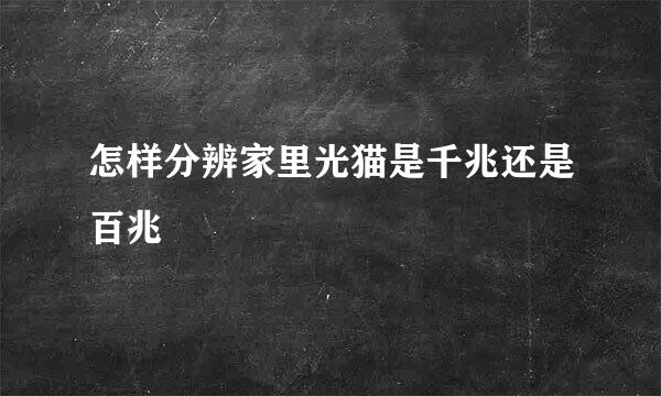 怎样分辨家里光猫是千兆还是百兆