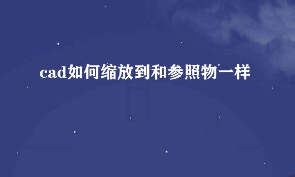 cad如何缩放到和参照物一样