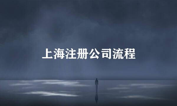 上海注册公司流程