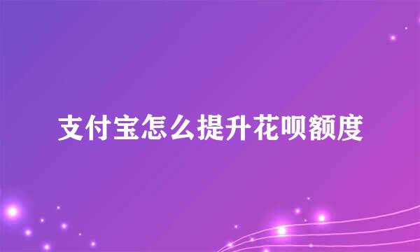 支付宝怎么提升花呗额度