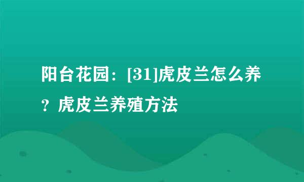 阳台花园：[31]虎皮兰怎么养？虎皮兰养殖方法