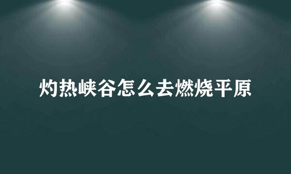 灼热峡谷怎么去燃烧平原
