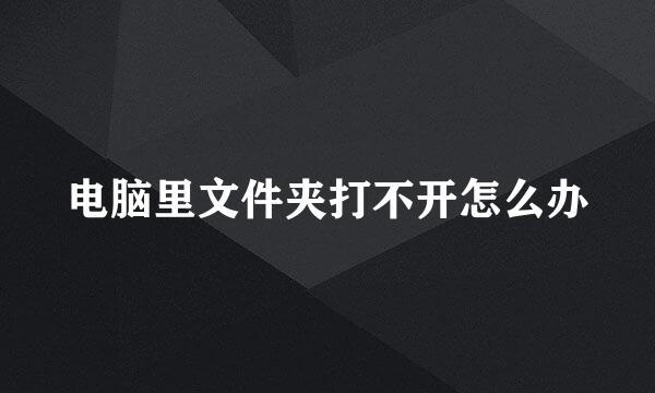 电脑里文件夹打不开怎么办