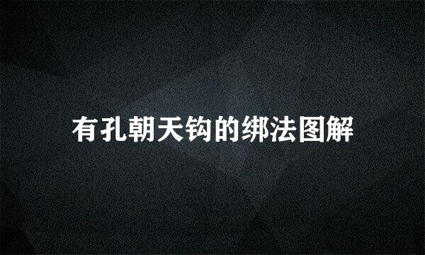 有孔朝天钩的绑法图解