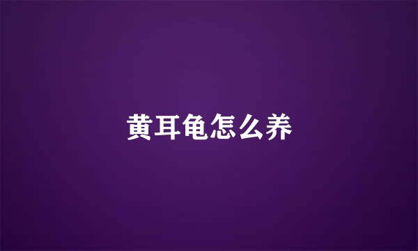 黄耳龟怎么养