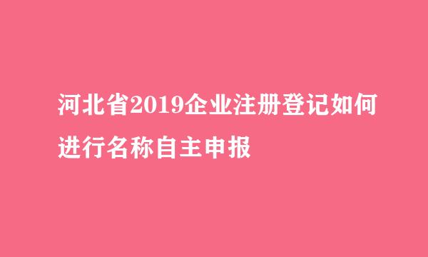 河北省2019企业注册登记如何进行名称自主申报