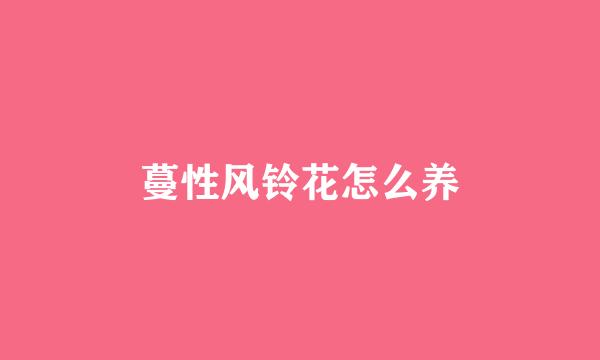 蔓性风铃花怎么养