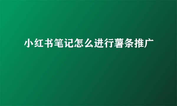 小红书笔记怎么进行薯条推广