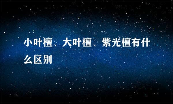 小叶檀、大叶檀、紫光檀有什么区别