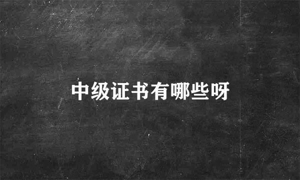 中级证书有哪些呀