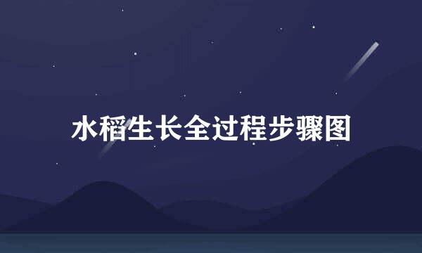 水稻生长全过程步骤图