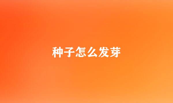 种子怎么发芽