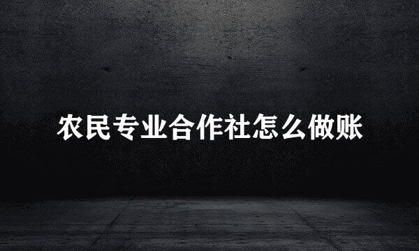 农民专业合作社怎么做账