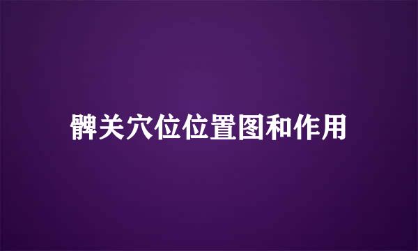 髀关穴位位置图和作用