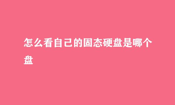 怎么看自己的固态硬盘是哪个盘