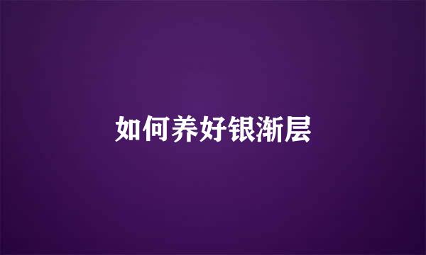 如何养好银渐层