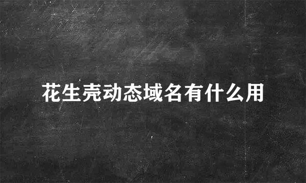 花生壳动态域名有什么用