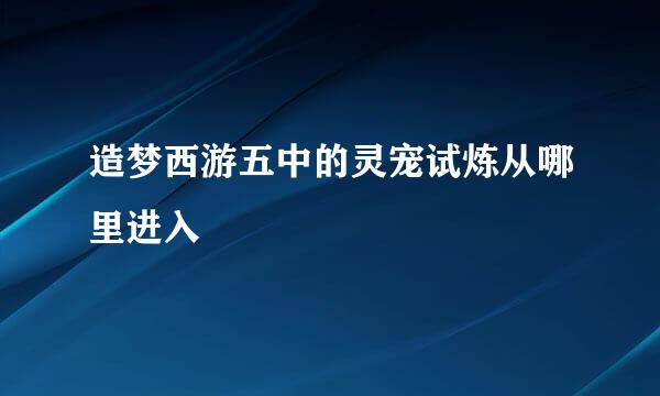 造梦西游五中的灵宠试炼从哪里进入