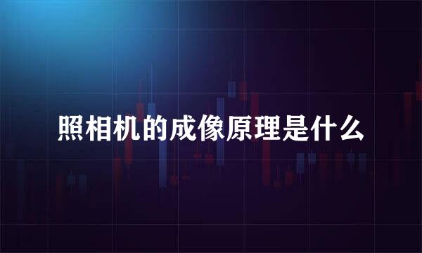 照相机的成像原理是什么