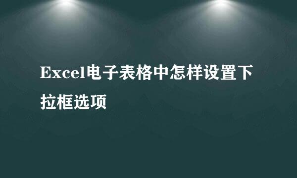 Excel电子表格中怎样设置下拉框选项