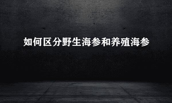 如何区分野生海参和养殖海参