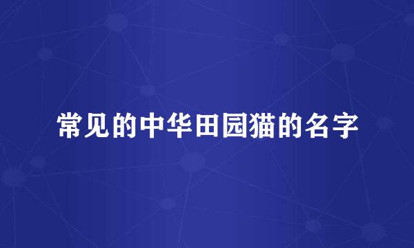 常见的中华田园猫的名字