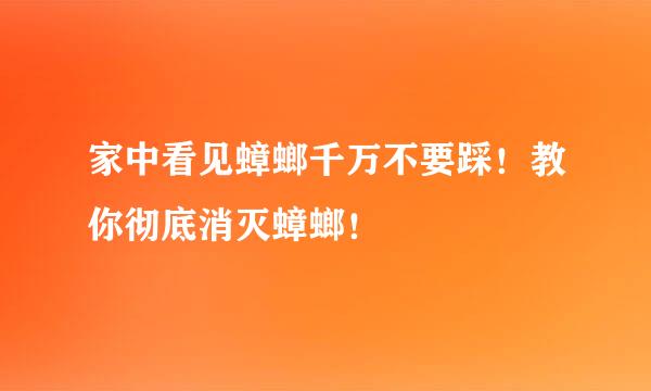家中看见蟑螂千万不要踩！教你彻底消灭蟑螂！