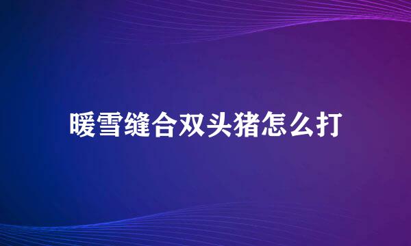 暖雪缝合双头猪怎么打