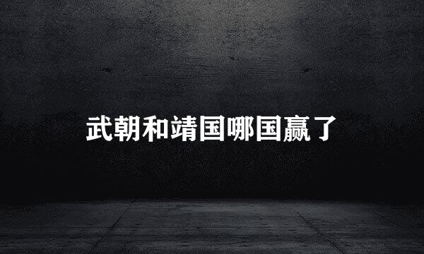 武朝和靖国哪国赢了