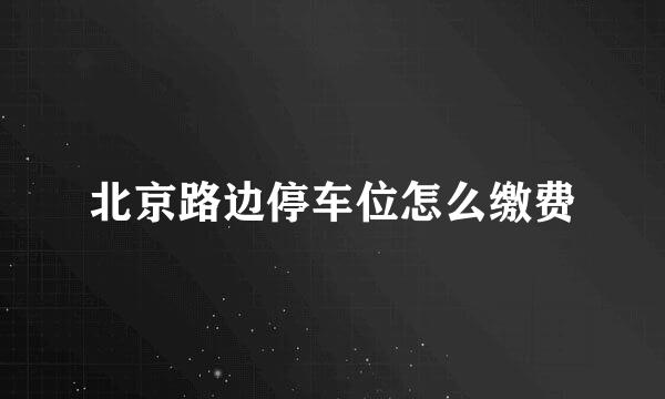北京路边停车位怎么缴费