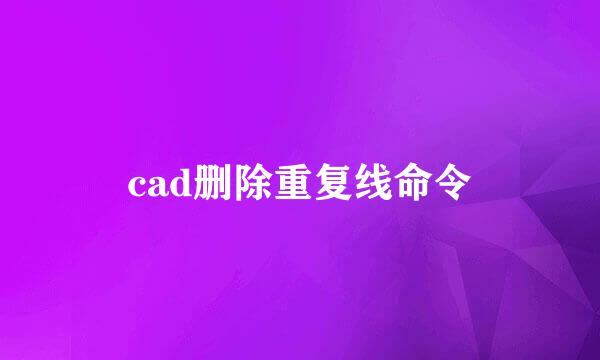cad删除重复线命令