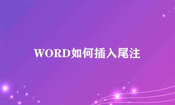 WORD如何插入尾注