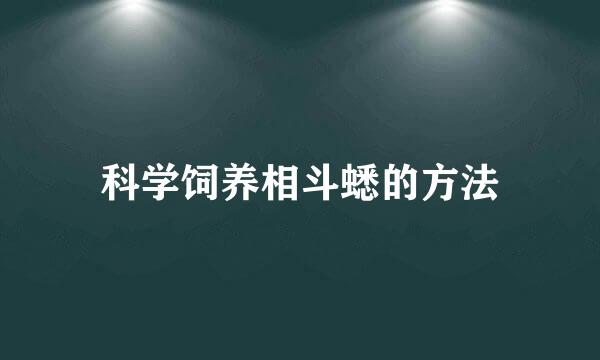 科学饲养相斗蟋的方法
