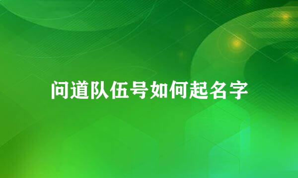 问道队伍号如何起名字