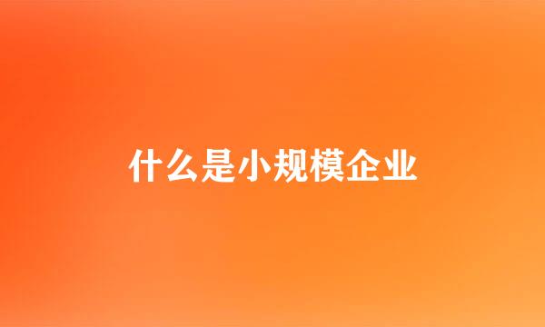 什么是小规模企业