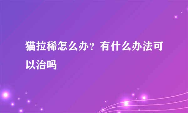 猫拉稀怎么办？有什么办法可以治吗
