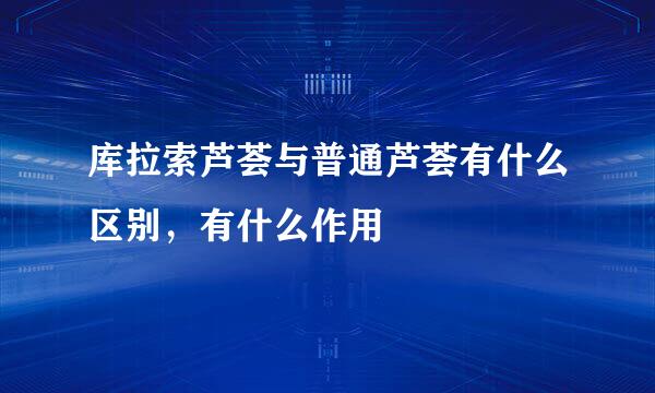 库拉索芦荟与普通芦荟有什么区别，有什么作用