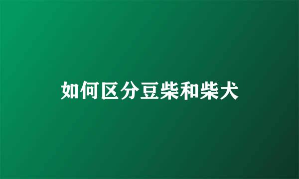 如何区分豆柴和柴犬