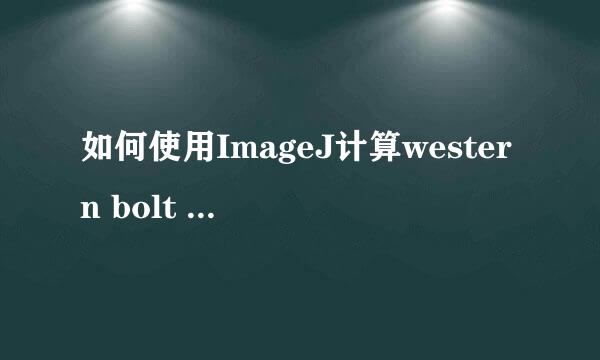 如何使用ImageJ计算western bolt 条带灰度值