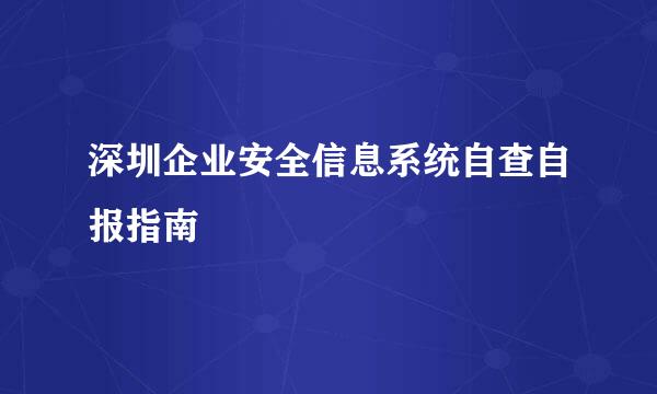 深圳企业安全信息系统自查自报指南