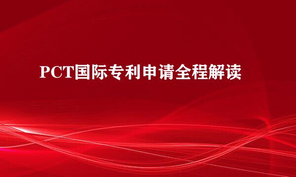 PCT国际专利申请全程解读