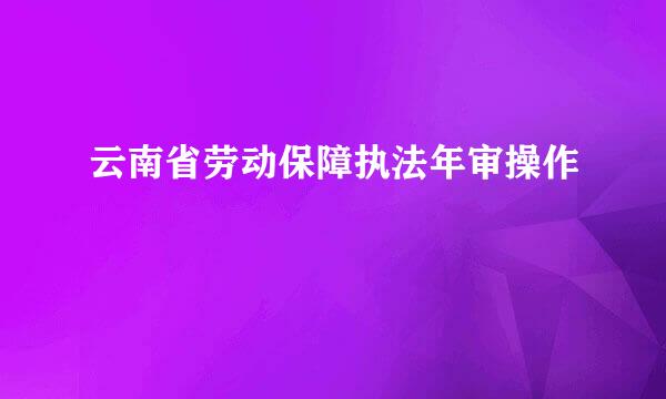 云南省劳动保障执法年审操作