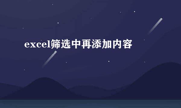 excel筛选中再添加内容