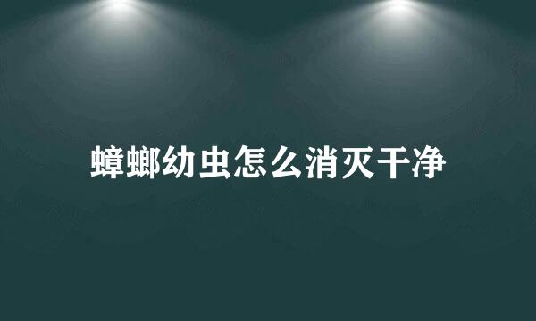 蟑螂幼虫怎么消灭干净