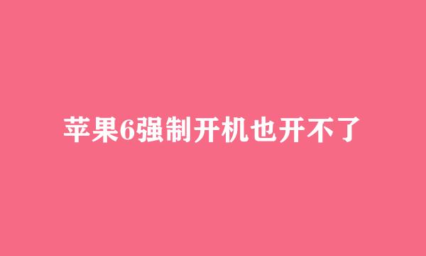 苹果6强制开机也开不了