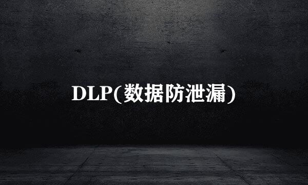 DLP(数据防泄漏)