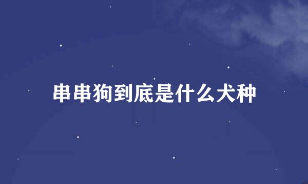 串串狗到底是什么犬种