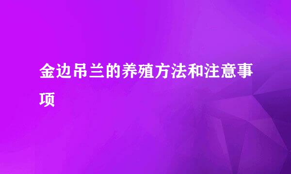 金边吊兰的养殖方法和注意事项
