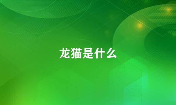 龙猫是什么